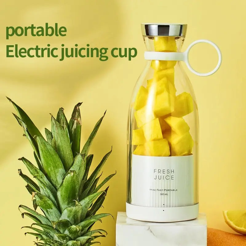 Rechargeable Mini Juicer